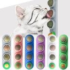 Catnip & silvervine wall toy
