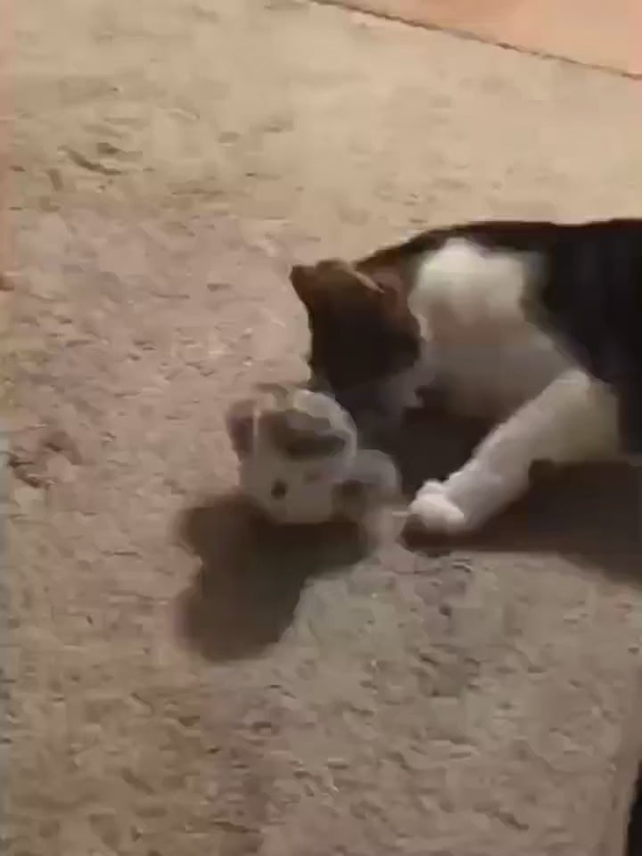 Interactive Flappy Bird Toy for Indoor Cats