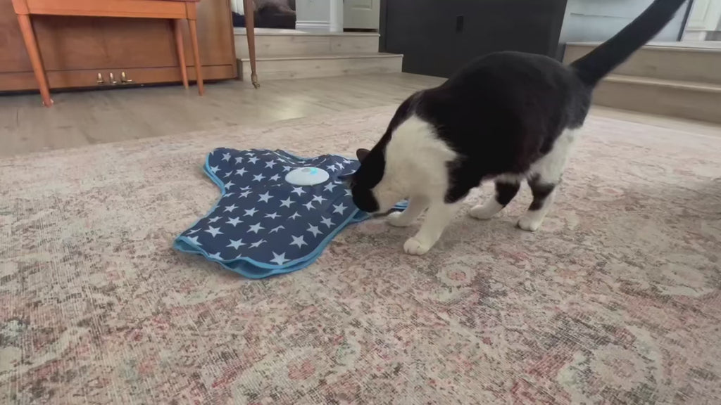 Interactive  Feather Cat Toy