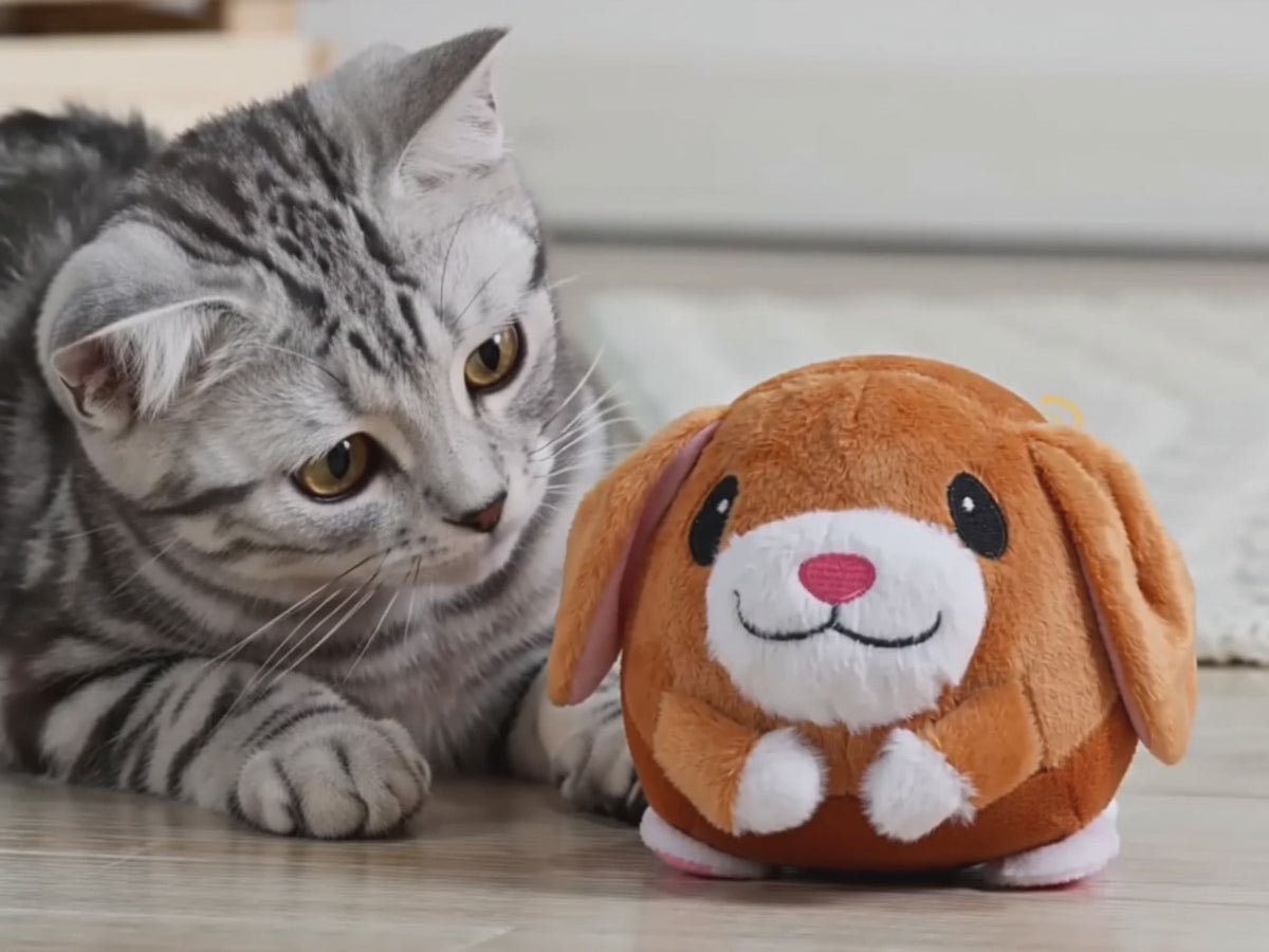 Interactive plush ball toy