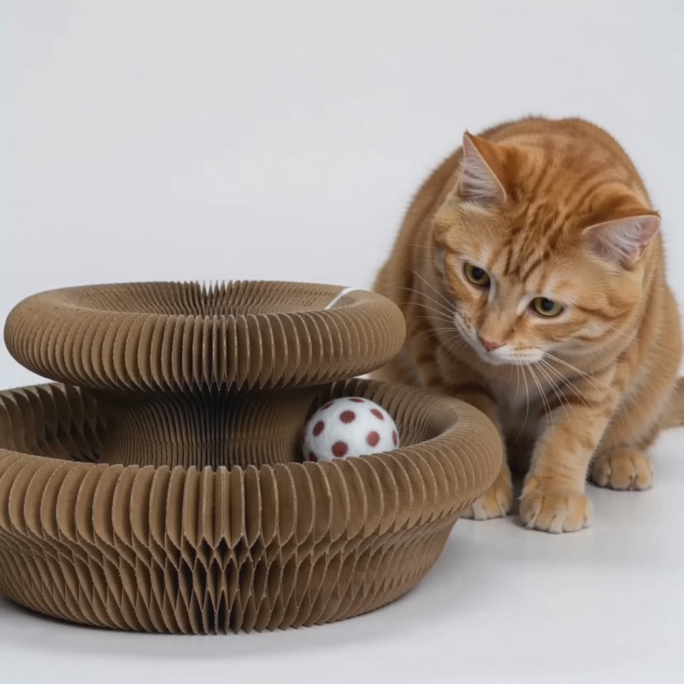 Kitty Curls Cat Scratcher