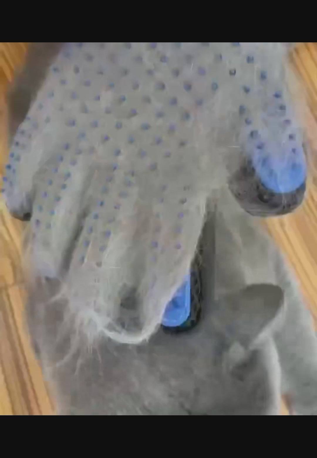Cat Grooming Set