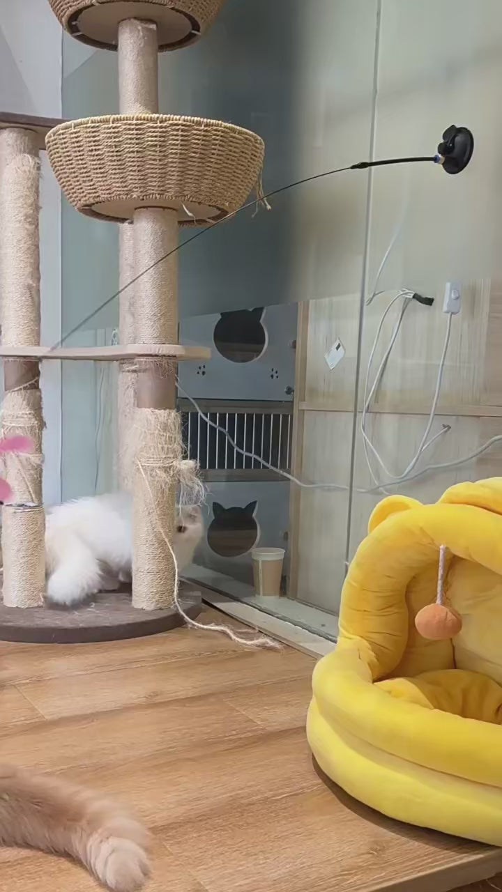 Suction cup cat wand toy