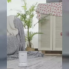 Automatic Paw Cleaner