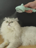 Steam pet Grooming Brush
