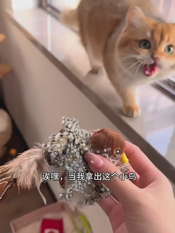 Interactive  flying bird cat toy