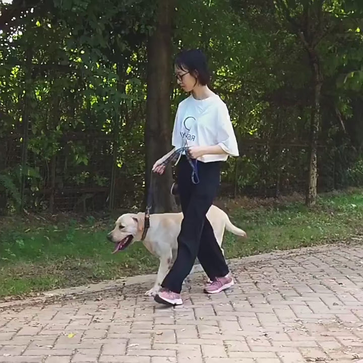 Pet waste Scooper